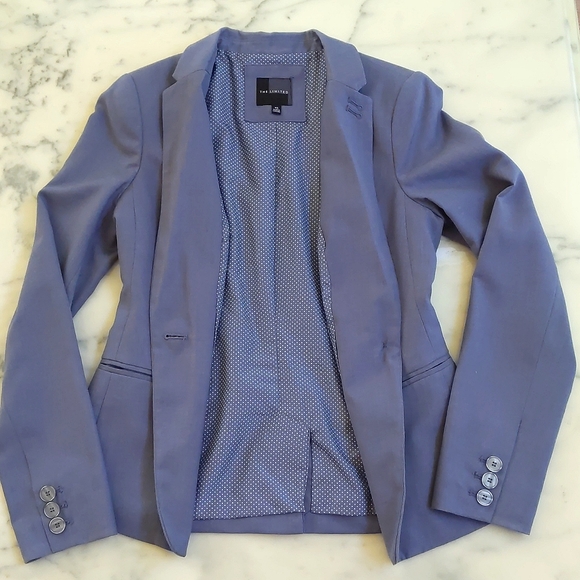 The Limited Rayon Blended Bluish Grey Blazer with lining and pockets. - Picture 4 of 4